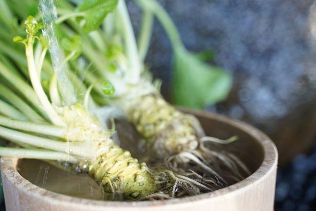天城の隠れた宝石：わさびの魅力とその味わい方