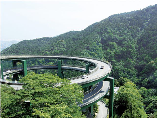 天城峠の魅力を堪能♪